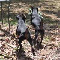 processed/8613c23e-bed6-4151-8689-d588d6de8278/facility/40998fe1-51ff-4647-a5fe-d2d5a56e9a35