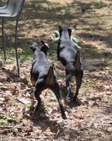 processed/8613c23e-bed6-4151-8689-d588d6de8278/facility/40998fe1-51ff-4647-a5fe-d2d5a56e9a35