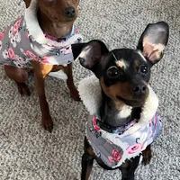 processed/8613c23e-bed6-4151-8689-d588d6de8278/facility/41a43fe7-18fd-44ad-8f2d-7633d9e11d21