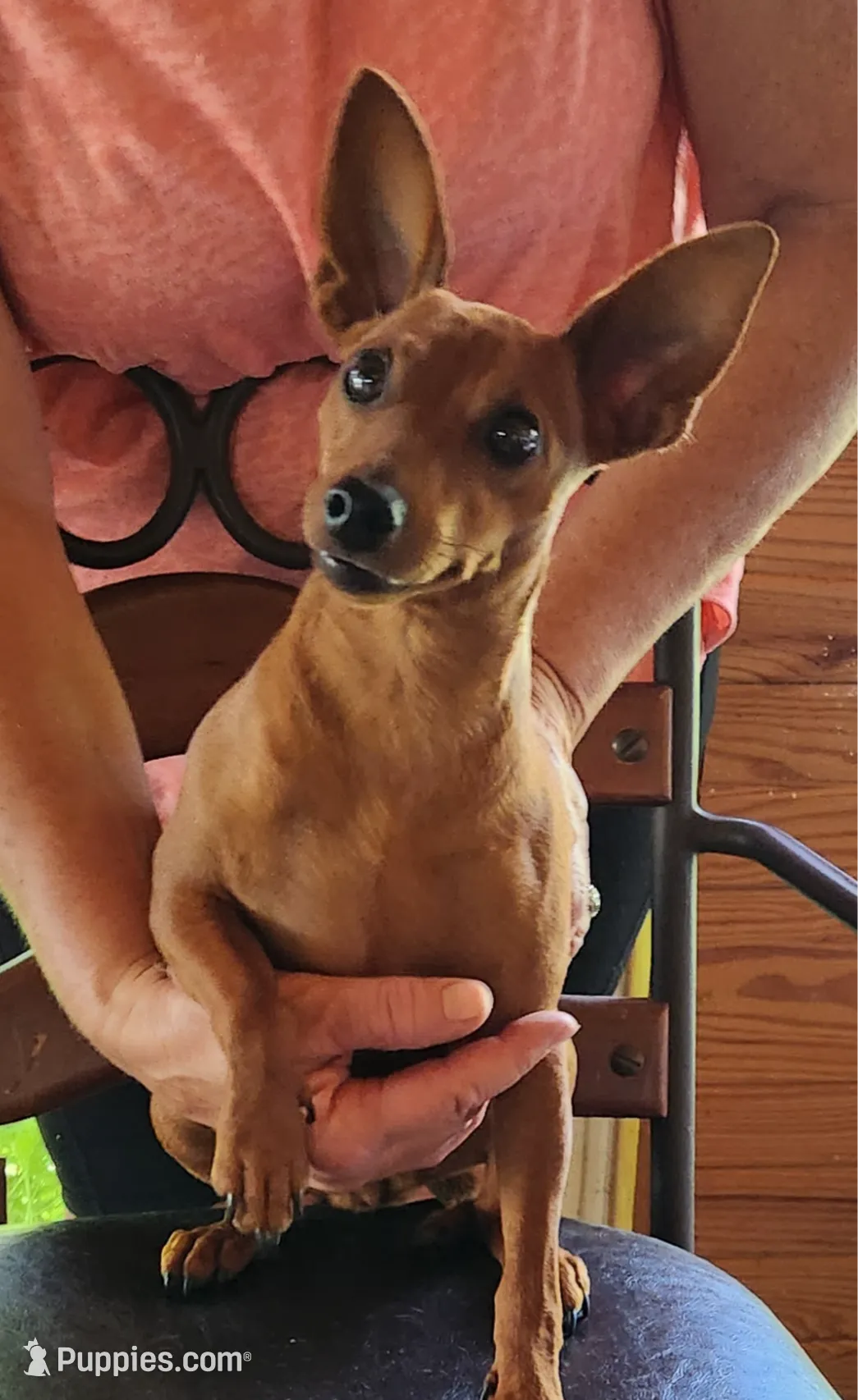 processed/8613c23e-bed6-4151-8689-d588d6de8278/facility/86ca50df-6ccf-40b5-ba4d-061970161486