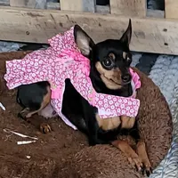 processed/8613c23e-bed6-4151-8689-d588d6de8278/facility/a9377c63-bdf9-45c7-8e24-724d6f253e02