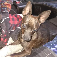 processed/8613c23e-bed6-4151-8689-d588d6de8278/facility/c000d40f-ac52-437f-b7e1-dd0a5a630b89