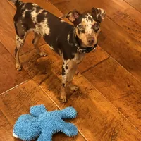 processed/8613c23e-bed6-4151-8689-d588d6de8278/facility/c45c6b65-2e9c-4e95-8fb0-c78052ea8cde