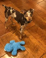 processed/8613c23e-bed6-4151-8689-d588d6de8278/facility/c45c6b65-2e9c-4e95-8fb0-c78052ea8cde