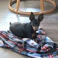 processed/8613c23e-bed6-4151-8689-d588d6de8278/facility/dbc23daa-3b7a-4666-8031-b0396546a741