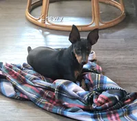 processed/8613c23e-bed6-4151-8689-d588d6de8278/facility/dbc23daa-3b7a-4666-8031-b0396546a741