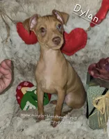 processed/8613c23e-bed6-4151-8689-d588d6de8278/listing/22aaecb8-401d-40b7-8a53-9b2665806e03/42dd0d1b-a5ec-4ccc-ad1e-5ba0432a9c81