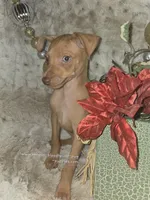 processed/8613c23e-bed6-4151-8689-d588d6de8278/listing/22aaecb8-401d-40b7-8a53-9b2665806e03/a1bc6a6b-4d31-490b-bcfb-2d6f498d2364