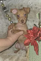 processed/8613c23e-bed6-4151-8689-d588d6de8278/listing/22aaecb8-401d-40b7-8a53-9b2665806e03/c44daed7-fe42-4d12-920b-e76e8e6eac13