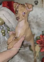 processed/8613c23e-bed6-4151-8689-d588d6de8278/listing/22aaecb8-401d-40b7-8a53-9b2665806e03/ea92839c-d63a-4b36-be3a-dbdb3a7177ae