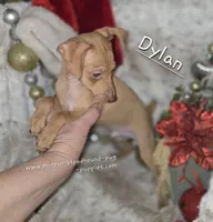 processed/8613c23e-bed6-4151-8689-d588d6de8278/listing/22aaecb8-401d-40b7-8a53-9b2665806e03/ef5e761d-e0c2-42d8-a45f-c76fa48cbd02