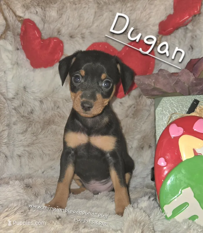 Dugan
