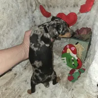 processed/8613c23e-bed6-4151-8689-d588d6de8278/listing/45a3fc62-b171-49fc-95fa-fb1f883510bc/84a0a800-f1c3-4be9-944e-e3dfeaa081f2