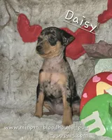 processed/8613c23e-bed6-4151-8689-d588d6de8278/listing/45a3fc62-b171-49fc-95fa-fb1f883510bc/e7213930-bdd9-4758-98b7-8d21a97f3787