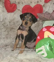 processed/8613c23e-bed6-4151-8689-d588d6de8278/listing/49100d97-aaa0-4bb8-b3b9-d1f8a0d0fedb/01c17748-b5cc-4a71-bbc4-f03f7317236d