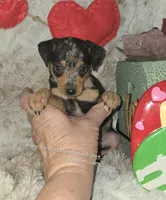 processed/8613c23e-bed6-4151-8689-d588d6de8278/listing/49100d97-aaa0-4bb8-b3b9-d1f8a0d0fedb/a61c99b8-2c6c-42ef-9f54-bae1541c3c4d