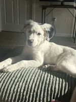 processed/861dec1b-111b-4ed4-b438-624506b8e73d/listing/c5a3421e-eb02-4496-ad24-cb498fd39a79/8e6c9512-a6a4-4242-9998-1dc454fdaa58