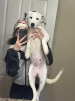 processed/861dec1b-111b-4ed4-b438-624506b8e73d/listing/c5a3421e-eb02-4496-ad24-cb498fd39a79/91c5229c-1e4a-4ea2-9d9a-4a463de48433