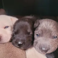 processed/862e76f4-f412-4b7f-bddc-4369eef6c42f/facility/cbcba43f-dd63-445e-9ea9-5b9356fa97aa