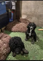 processed/862f9fb1-0921-4971-aa9a-632165d8f5f2/facility/8986ac8e-c874-48eb-99a4-96b89e23866a