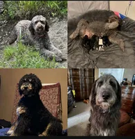 processed/862f9fb1-0921-4971-aa9a-632165d8f5f2/facility/b69f4097-d2a4-43e1-8430-7880d866a0d9