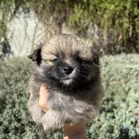 processed/86309eb2-4651-4c64-8abf-87ad4c6aedb3/facility/19c9a1d3-ae63-43a1-833e-23767d11e134