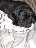 processed/86329426-0fc7-456d-9f00-12fec5d195a8/listing/ab0bf063-1140-4d5e-8085-527af1010d38/1c18be45-6bd2-4600-9c0e-6b61fdeb21b6