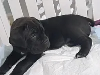 processed/86329426-0fc7-456d-9f00-12fec5d195a8/listing/ab0bf063-1140-4d5e-8085-527af1010d38/20f8d4ad-f3cf-4bb6-b917-8e2123448c2d