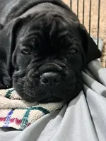 processed/86329426-0fc7-456d-9f00-12fec5d195a8/listing/ab0bf063-1140-4d5e-8085-527af1010d38/2ca3b8d6-f96c-4726-8763-e4b14ecc67d8