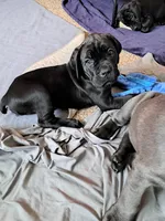 processed/86329426-0fc7-456d-9f00-12fec5d195a8/listing/ab0bf063-1140-4d5e-8085-527af1010d38/5e007219-4235-49ee-a520-97941dbd51e9