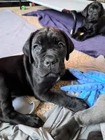 processed/86329426-0fc7-456d-9f00-12fec5d195a8/listing/ab0bf063-1140-4d5e-8085-527af1010d38/d50cebdc-7ea4-4da5-992c-0c94f1fd2d36