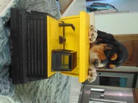 Clyde (On Hold), a male Basset Hound for sale in Denver, IN – 9 of 10
