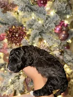 processed/864375a8-2e22-4103-96e3-e8fd05a1115a/listing/8272c789-92d2-437e-a914-f8abe35a0318/b0c8addb-e661-4040-b282-b21fa3524c96