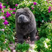 processed/8646d7c1-7846-4500-8033-7c67e9d8f43e/facility/41366d89-a4bd-4200-83d3-5b3bc5a2914a