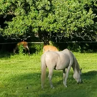 processed/8646d7c1-7846-4500-8033-7c67e9d8f43e/facility/46f63ce6-2854-480f-95c4-b1078838998e