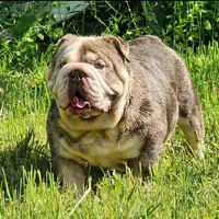 processed/8646d7c1-7846-4500-8033-7c67e9d8f43e/facility/633dc01f-797d-4e61-8be5-c9c0a9a5c801