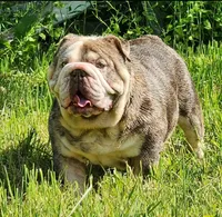 processed/8646d7c1-7846-4500-8033-7c67e9d8f43e/facility/633dc01f-797d-4e61-8be5-c9c0a9a5c801