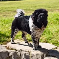 processed/8646d7c1-7846-4500-8033-7c67e9d8f43e/facility/70331db6-fbe6-4135-abfa-5e54e198bb56