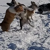 processed/8646d7c1-7846-4500-8033-7c67e9d8f43e/facility/97918fc0-8b77-4ec7-a2c0-186af2e788f2