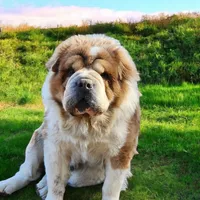 processed/8646d7c1-7846-4500-8033-7c67e9d8f43e/facility/99f9a99e-2736-4b9f-97ff-37eed2de4bab