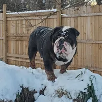 processed/8646d7c1-7846-4500-8033-7c67e9d8f43e/facility/9a45a768-90a0-452a-a7ae-6910fe2eade3