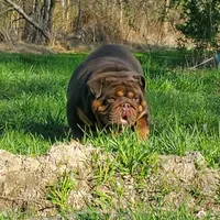 processed/8646d7c1-7846-4500-8033-7c67e9d8f43e/facility/d18ff6df-ea20-4515-8e86-c44d2e941c9b