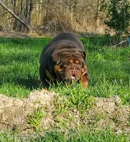 processed/8646d7c1-7846-4500-8033-7c67e9d8f43e/facility/d18ff6df-ea20-4515-8e86-c44d2e941c9b