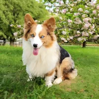 processed/8646d7c1-7846-4500-8033-7c67e9d8f43e/facility/e41e8e4b-a19d-44f0-8601-80e57f081406