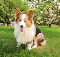 processed/8646d7c1-7846-4500-8033-7c67e9d8f43e/facility/e41e8e4b-a19d-44f0-8601-80e57f081406