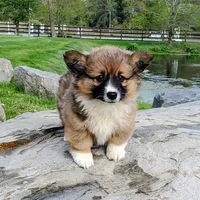 processed/8646d7c1-7846-4500-8033-7c67e9d8f43e/facility/f4e0a5ba-8252-4551-b38e-46f289b912f9