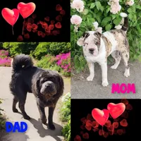 processed/8646d7c1-7846-4500-8033-7c67e9d8f43e/listing/bad7894a-54f5-42ea-b998-4c9df17090d5/0098c5b1-d2a1-4414-ad78-3cb12838b509