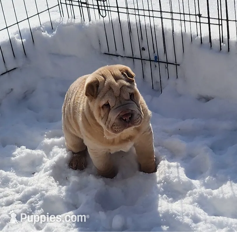 processed/8646d7c1-7846-4500-8033-7c67e9d8f43e/listing/bad7894a-54f5-42ea-b998-4c9df17090d5/734fac3e-49f2-4508-9458-7b1cb29c4586