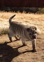 processed/8646d7c1-7846-4500-8033-7c67e9d8f43e/listing/bad7894a-54f5-42ea-b998-4c9df17090d5/82c75eb3-5d2e-441a-8647-1e7cf7f7bb95