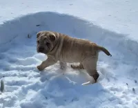 processed/8646d7c1-7846-4500-8033-7c67e9d8f43e/listing/bad7894a-54f5-42ea-b998-4c9df17090d5/e0032325-bbb0-4f11-9975-f4a4800fbc28